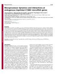 Microprocessor Dynamics and Interactions at Endogenous Imprinted C19MC Microrna Genes