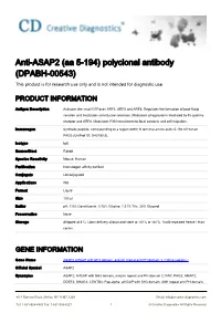 Anti-ASAP2 (Aa 5-194) Polyclonal Antibody (DPABH-00543) This Product Is for Research Use Only and Is Not Intended for Diagnostic Use