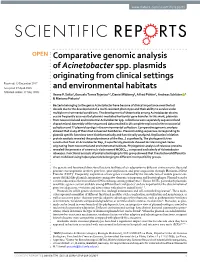 Comparative Genomic Analysis of Acinetobacter Spp. Plasmids