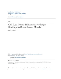 Cell-Type Specific Translational Profiling in Huntington's Disease
