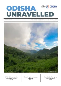 Newsletter.Pdf