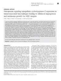 Osteopontin Signaling Upregulates Cyclooxygenase-2 Expression in Tumor-Associated Macrophages Leading to Enhanced Angiogenesis and Melanoma Growth Via A9b1 Integrin