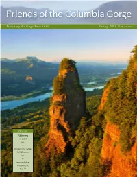 Spring 2009 Newsletter