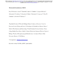 Mitochondrial Localization of SESN2