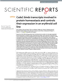 Csde1 Binds Transcripts Involved in Protein Homeostasis and Controls