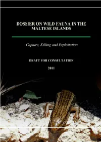 Dossier on Wild Fauna in the Maltese Islands: Capture, Killing and Exploitation - DRAFT