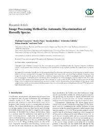 Image Processing Method for Automatic Discrimination of Hoverfly Species