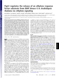 Flg22 Regulates the Release of an Ethylene Response Factor Substrate from MAP Kinase 6 in Arabidopsis Thaliana Via Ethylene Signaling
