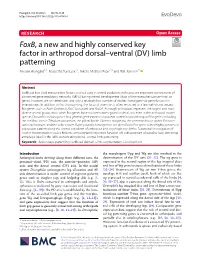 Foxb, a New and Highly Conserved Key Factor in Arthropod Dorsal–Ventral (DV) Limb Patterning