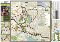 Dandenong Ranges Touring