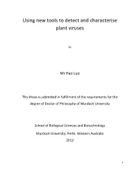 Using New Tools to Detect and Characterise Plant Viruses