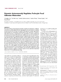 Dynamin Autonomously Regulates Podocyte Focal Adhesion Maturation
