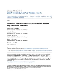 Sequencing, Analysis, and Annotation of Expressed Sequence Tags for Camelus Dromedarius