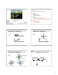 Spacetime Diagrams(1D in Space)