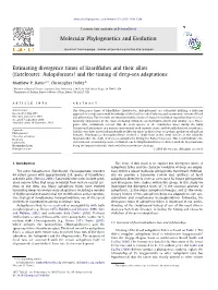 Euteleostei: Aulopiformes) and the Timing of Deep-Sea Adaptations ⇑ Matthew P