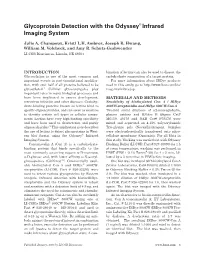 Glycoprotein Detection with the Odyssey Infrared Imaging System