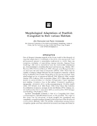 Morphological Adaptations of Pearlfish (Carapidae) to Their Various Habitats