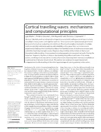 Cortical Travelling Waves: Mechanisms and Computational Principles