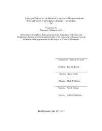 Su Yong Chao Dissertation.Ready to Submit0517