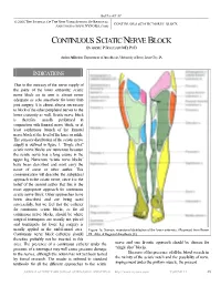 Continuous Sciatic Nerve Block Anesthesia (