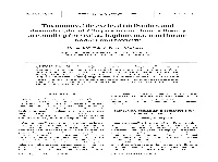 Dasmotrophy of Chrysochromulina: a Theory Accounting for Scales, Haptonema, Muciferous Bodies and Toxicity