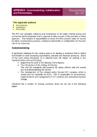 APPENDIX - Commissioning, Collaboration and Partnerships