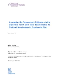 Assessing the Presence of Chitinases in the Digestive Tract and Their Relationship to Diet and Morphology in Freshwater Fish