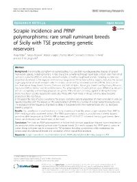 Scrapie Incidence and PRNP Polymorphisms