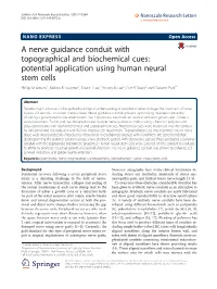 A Nerve Guidance Conduit with Topographical and Biochemical Cues