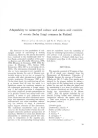 Adaptability to Submerged Culture and Amtno Acid Contents of Certain Fleshy Fungi Common in Finland