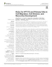 Roles for IFT172 and Primary Cilia in Cell Migration, Cell Division, and Neocortex Development