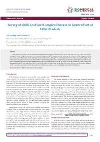 Survey of Chilli Leaf Curl Complex Disease in Eastern Part of Uttar Pradesh