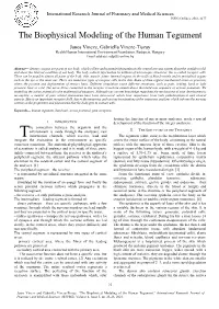 The Biophysical Modeling of the Human Tegument