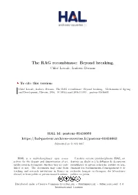 The RAG Recombinase: Beyond Breaking. Chloé Lescale, Ludovic Deriano