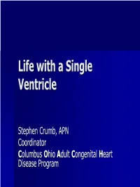 What Is Single Ventricle?