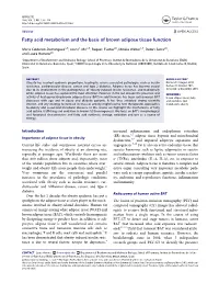 Fatty Acid Metabolism and the Basis of Brown Adipose Tissue Function