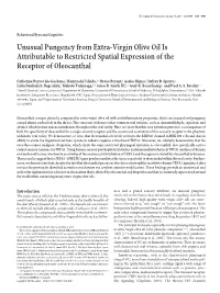 Unusual Pungency from Extra-Virgin Olive Oil Is Attributable to Restricted Spatial Expression of the Receptor of Oleocanthal