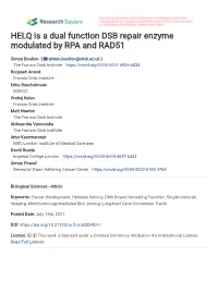 HELQ Is a Dual Function DSB Repair Enzyme Modulated by RPA and RAD51