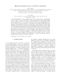Quantum Propagation Across Cosmological Singularities