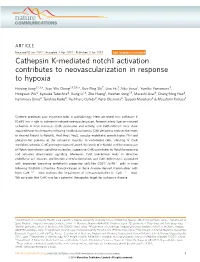 Cathepsin K-Mediated Notch1 Activation Contributes to Neovascularization in Response to Hypoxia