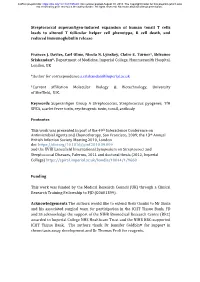 Streptococcal Superantigen-Induced Expansion of Human Tonsil T Cells