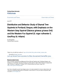 Distribution and Behavior Study of Diurnal Tree