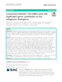Conversion Between 100-Million-Year-Old Duplicated Genes Contributes to Rice Subspecies Divergence