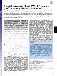 Encephalitis Is Mediated by ROP18 of Toxoplasma Gondii, a Severe Pathogen in AIDS Patients