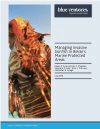 Managing Invasive Lionfish in Belize's Marine Protected Areas