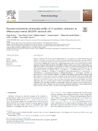 Structure-Cytotoxicity Relationship Profile of 13 Synthetic Cathinones In