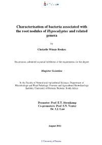Characterisation of Bacteria Associated with the Root Nodules of Hypocalyptus and Related Genera