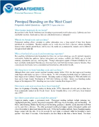 Pinniped Branding: Frequently Asked Questions