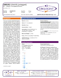 UBE2E2 (Ubch8) [Untagged] E2 – Ubiquitin Conjugating Enzyme