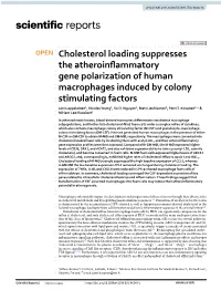 Cholesterol Loading Suppresses the Atheroinflammatory Gene